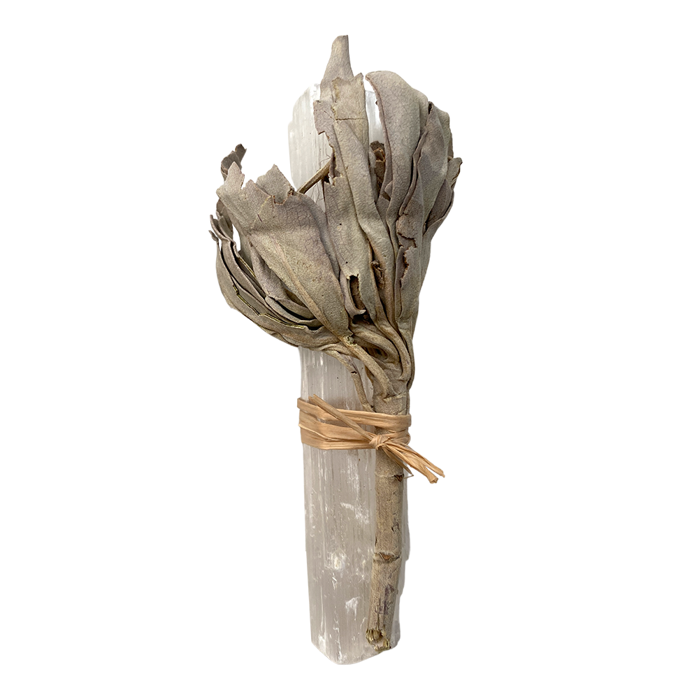 Mini Smudge Cluster, White Sage with Selenite Wand 4"